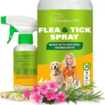 Free Shipping Flea & Tick Spray for Dogs, Cats & Rabbits | Plant-Based Formula with Rosemary, Citronella & Lemongrass | 250ml (8.5oz) 1-Year Supply | 24/7 Protection Against Ticks, Fleas & Mosquitoes
